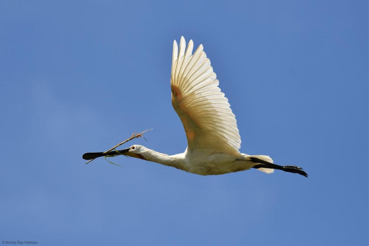Spoonbill Cottage ฟายลี ภายนอก รูปภาพ